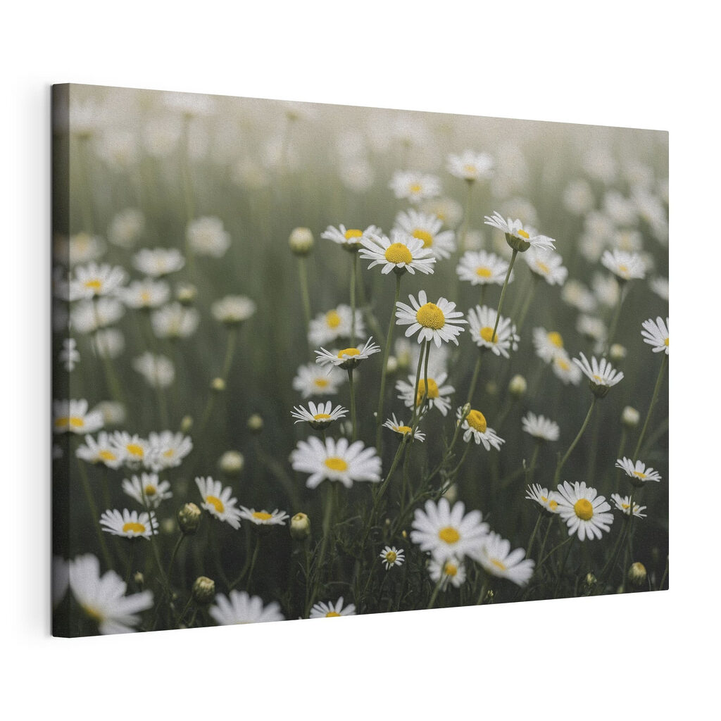 Fleurs dans l’herbe, toile tendue et bord enveloppé