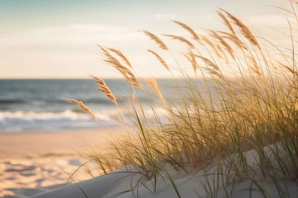 Brise sur les dunes — motif complet