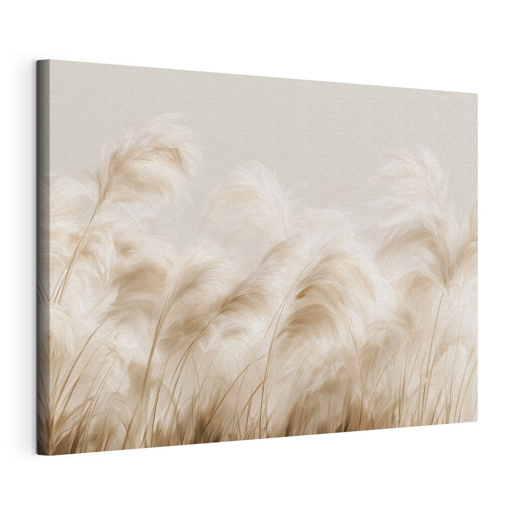 Plumets crème à contre-jour, toile tendue et bord enveloppé
