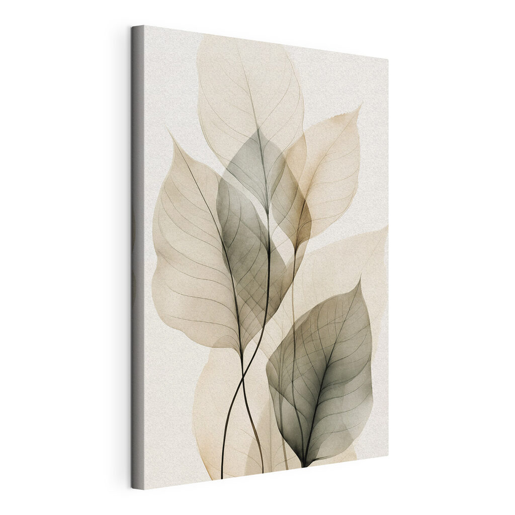 Feuilles translucides nervurées — vue du produit