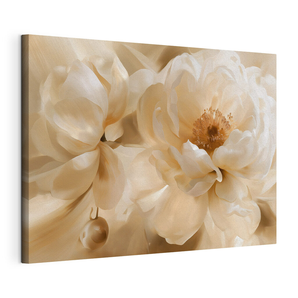 Gros plan de pivoines — vue du produit