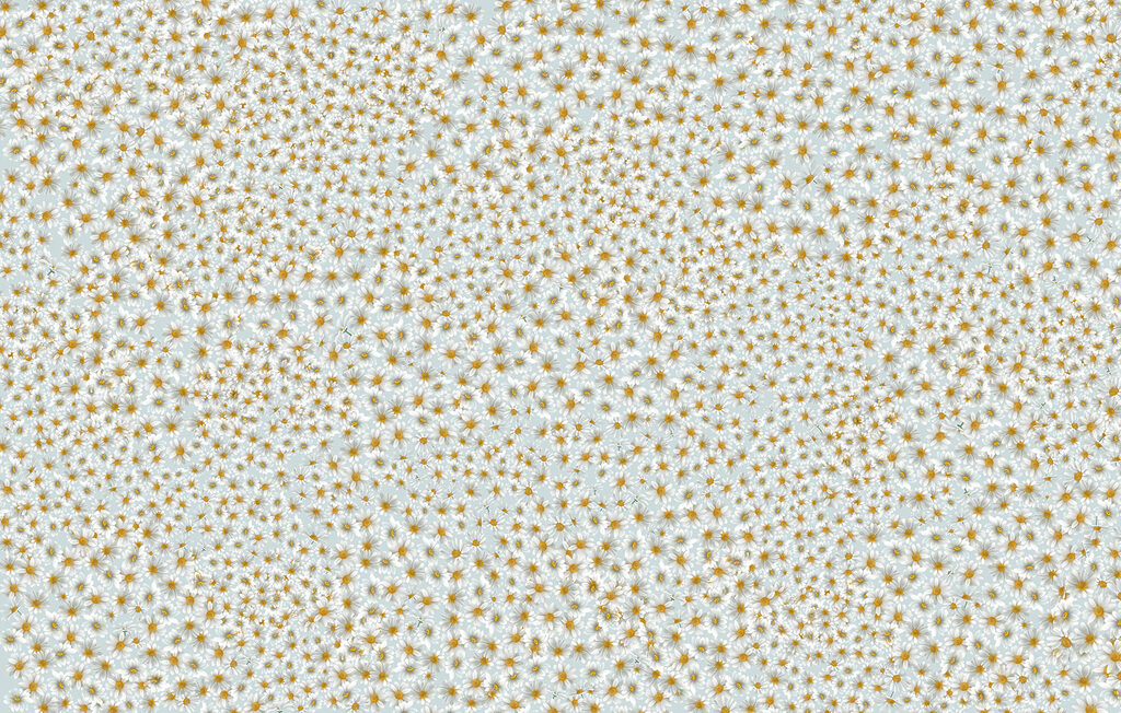Semis de fleurettes — motif complet