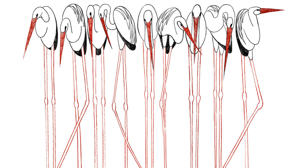 Oiseaux sur échasses rouges — motif complet