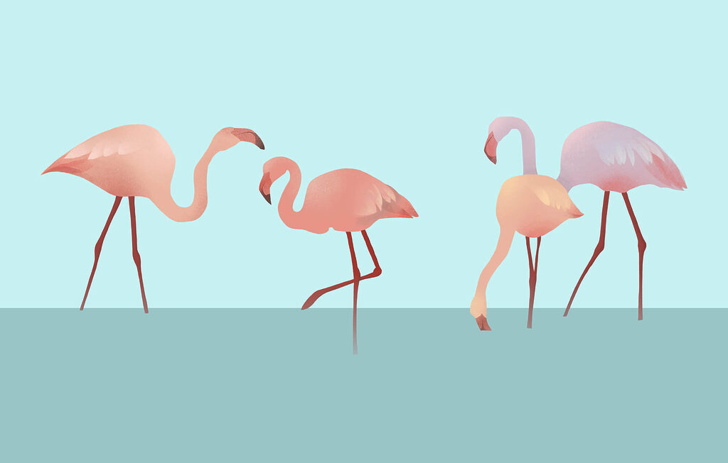Flamants roses dans l’eau — motif complet