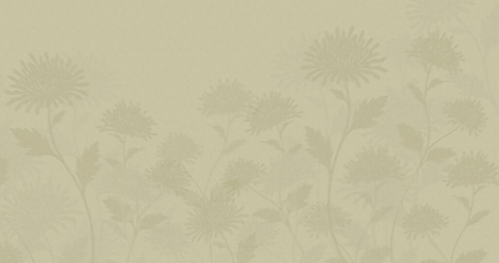 Ombelles blanches embrumées — motif complet