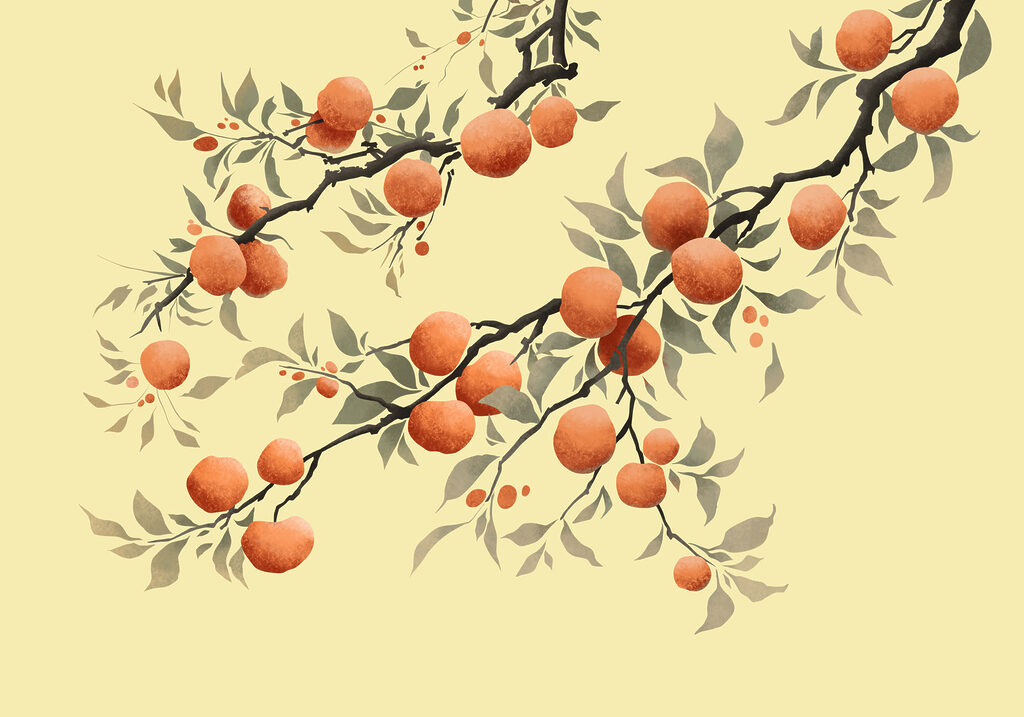 Oranges sur branches souples — motif complet
