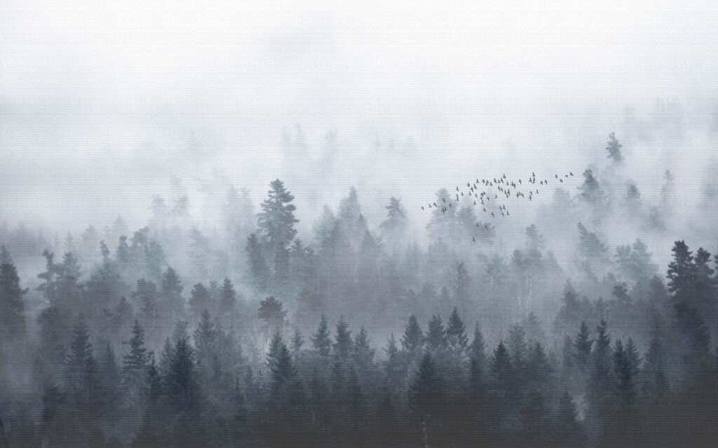 Vaste forêt de conifères — motif complet