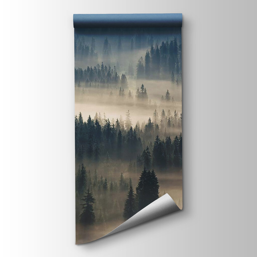 Vallée brumeuse — vue du produit