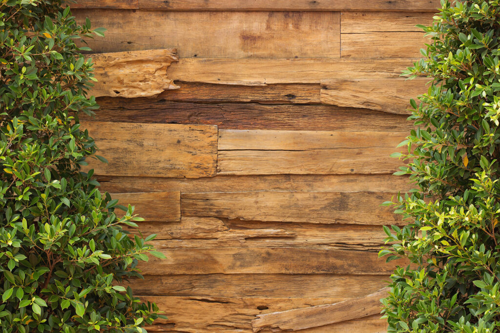 Bois et verdure — motif complet