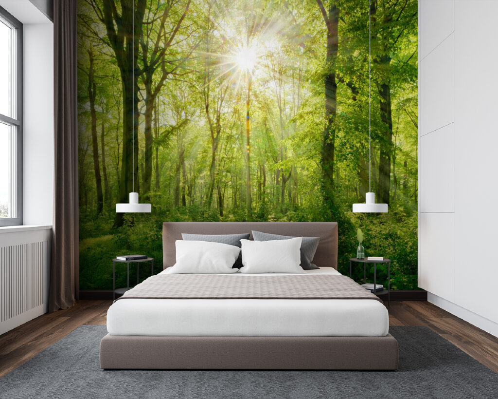 Soleil sur le sentier dans un intérieur