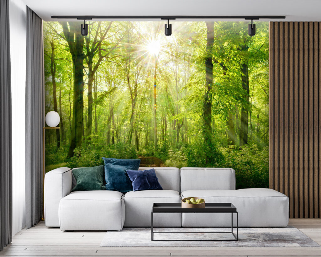 Soleil sur le sentier dans un intérieur