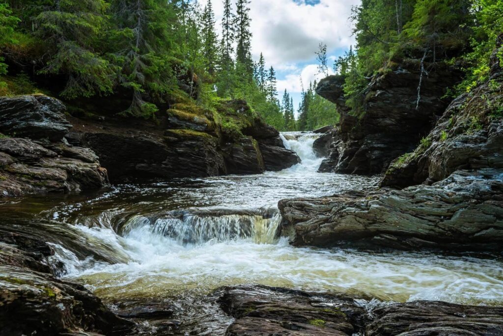 Ruisseau aux pierres moussues — motif complet