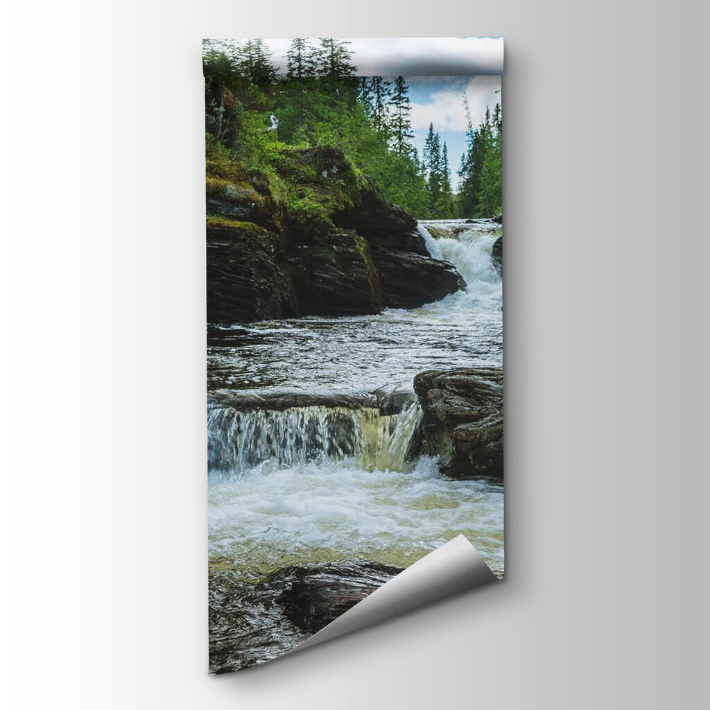Ruisseau aux pierres moussues — vue du produit