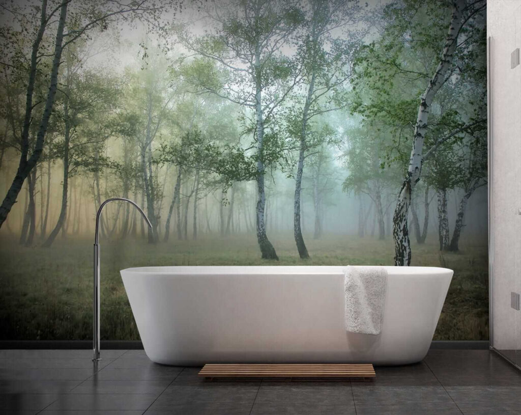 Clairière dans la brume — intérieur 8