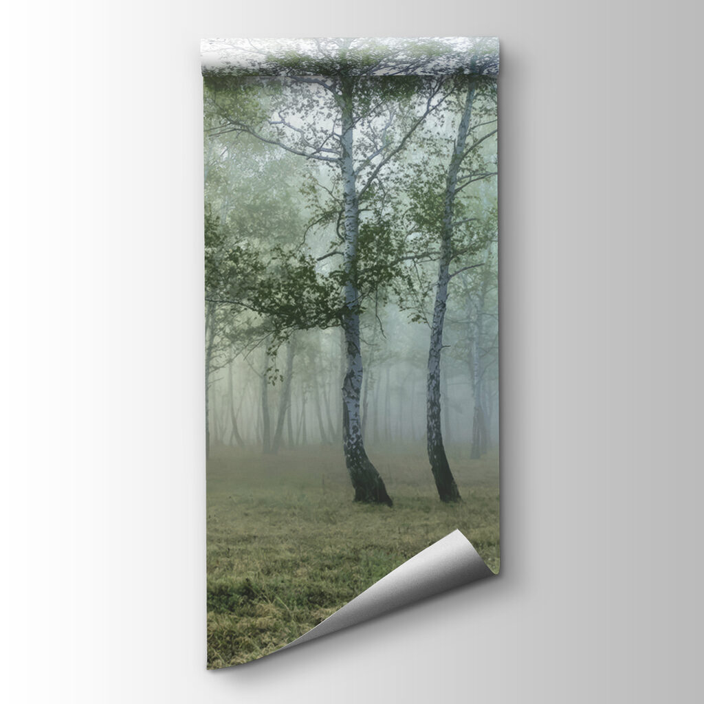 Clairière dans la brume — vue du produit