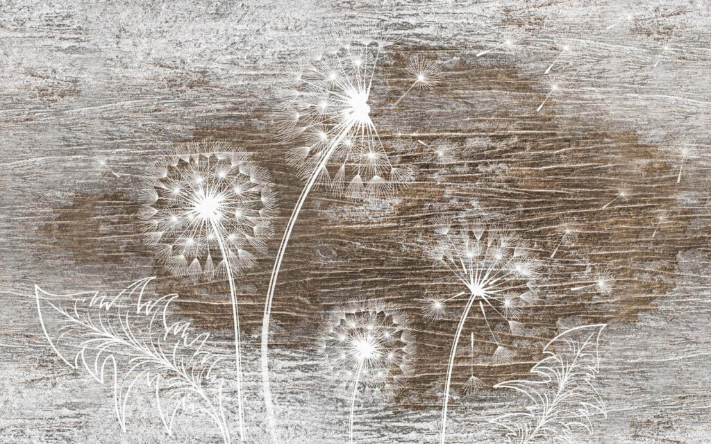 Pissenlits blancs sur bois — motif complet