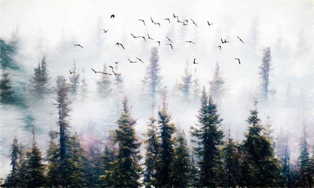Oiseaux sur pins brumeux — motif complet
