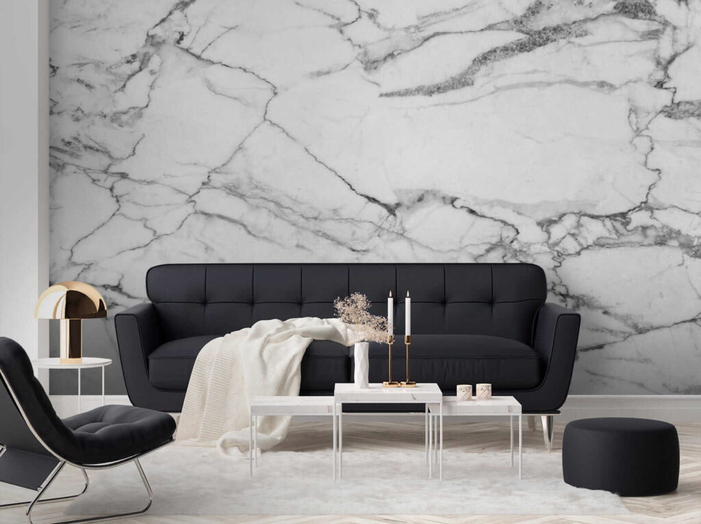 Marbre blanc, veines sombres — intérieur 4