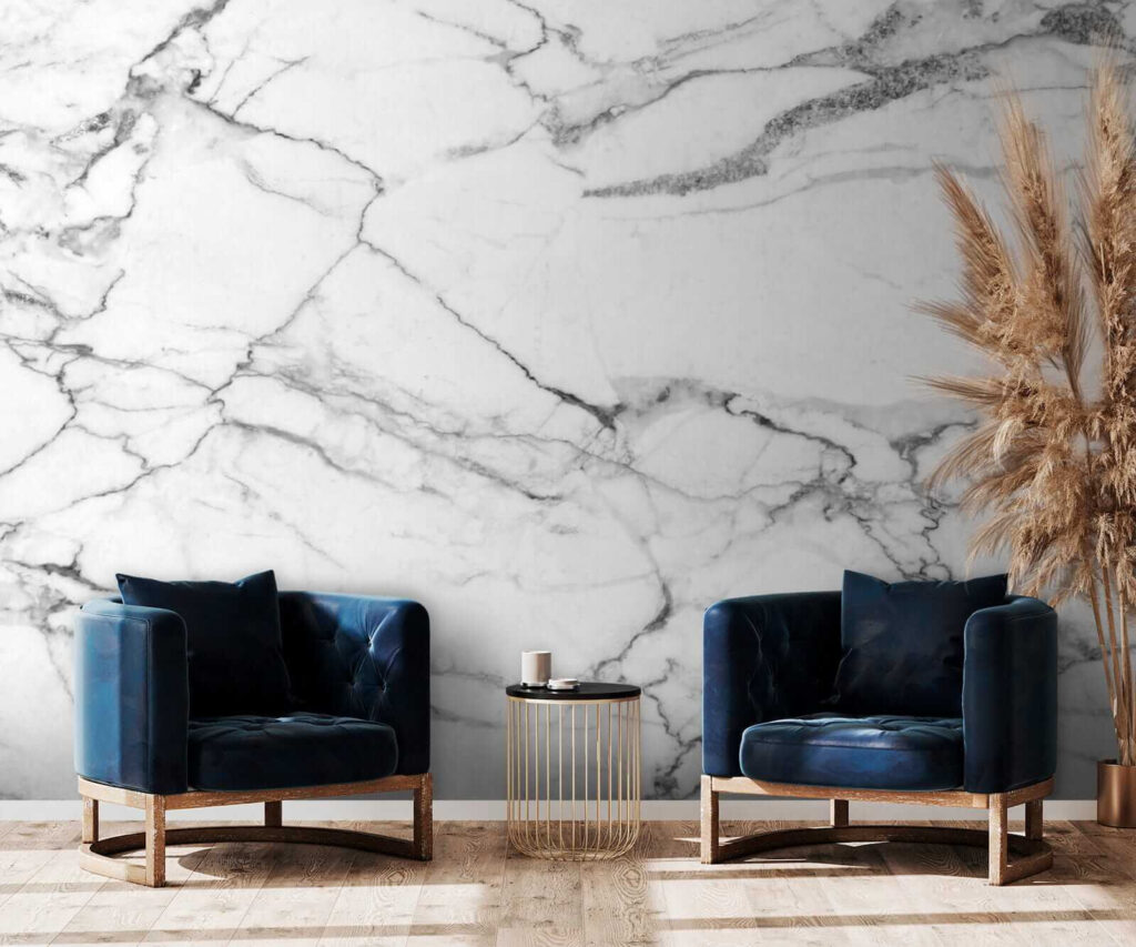 Marbre blanc, veines sombres — intérieur 6