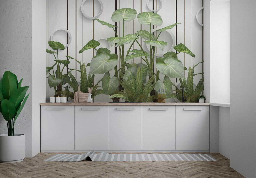 Plantes aux feuilles vertes — intérieur 5