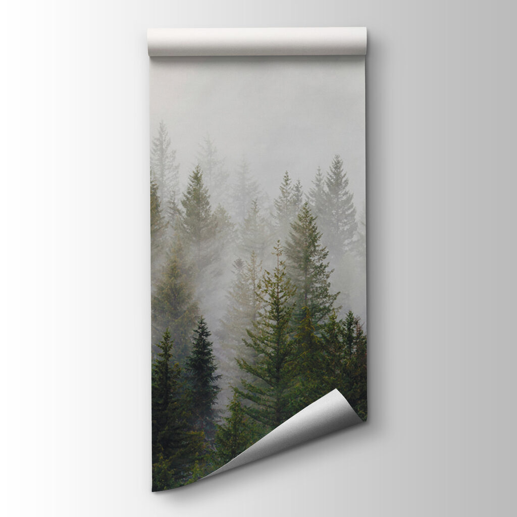 Forêt aux hauteurs variées — vue du produit