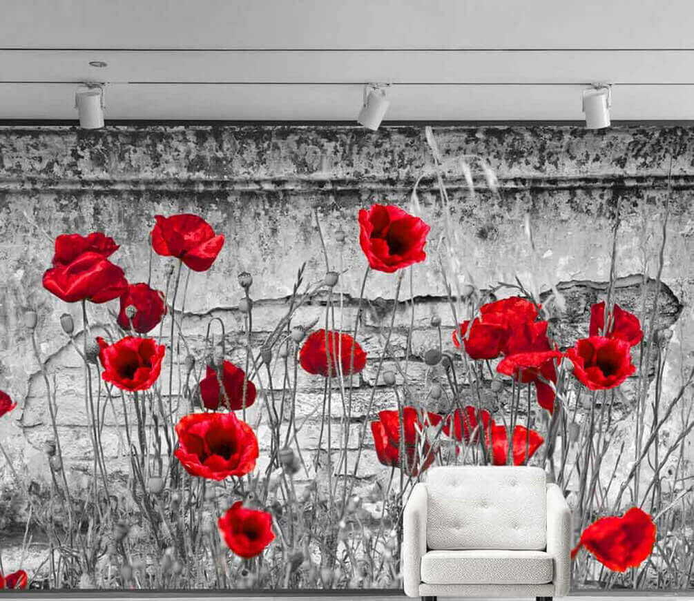 Coquelicots sur mur gris dans un intérieur
