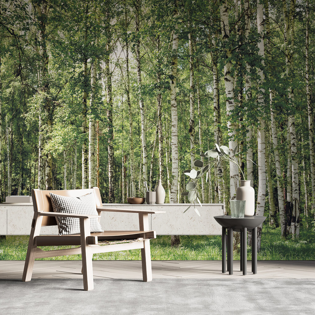 Forêt de bouleaux — intérieur 11