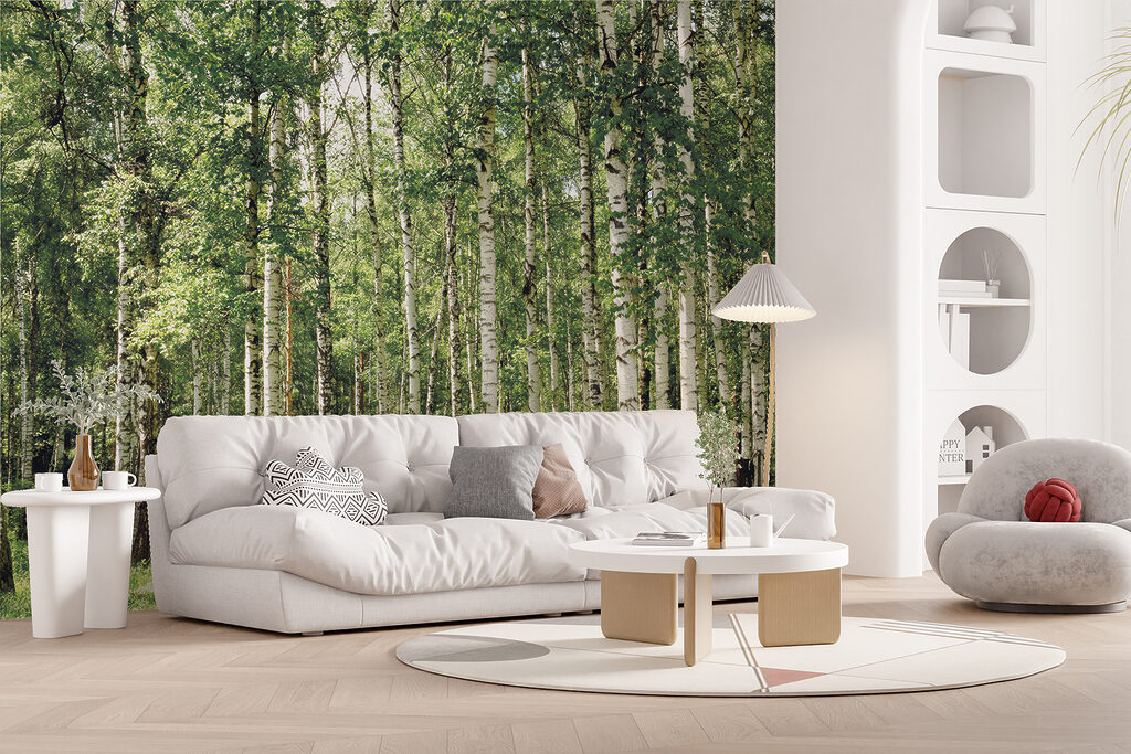 Forêt de bouleaux — intérieur 12