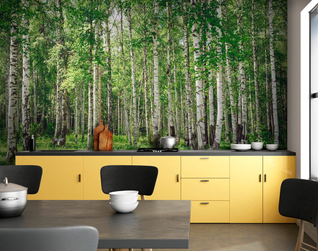 Forêt de bouleaux — intérieur 9