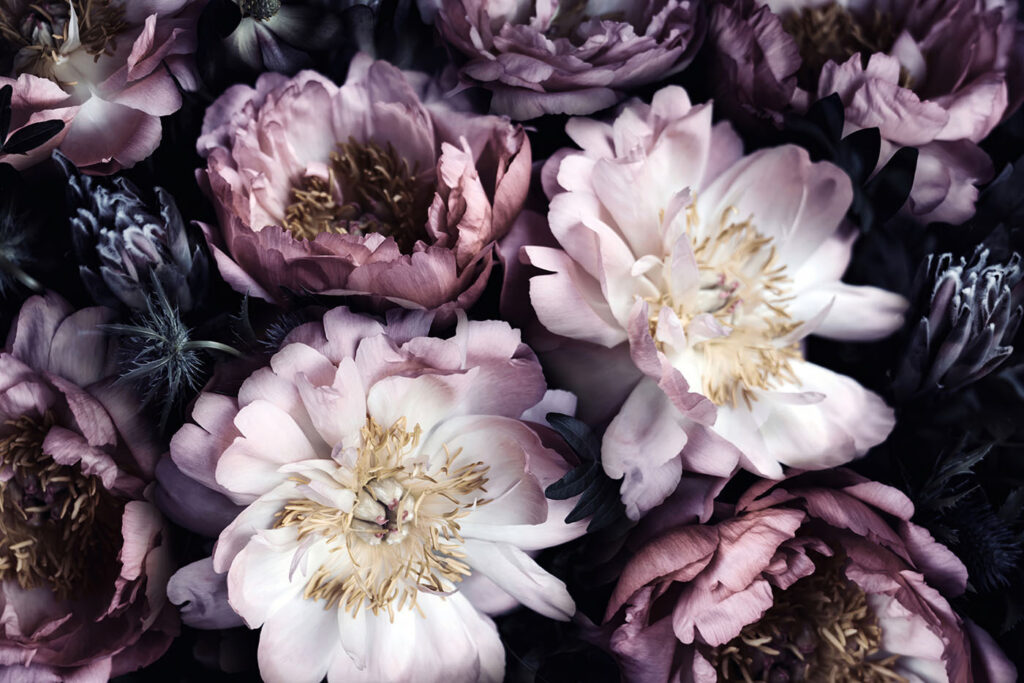 Fleurs élégantes — motif complet