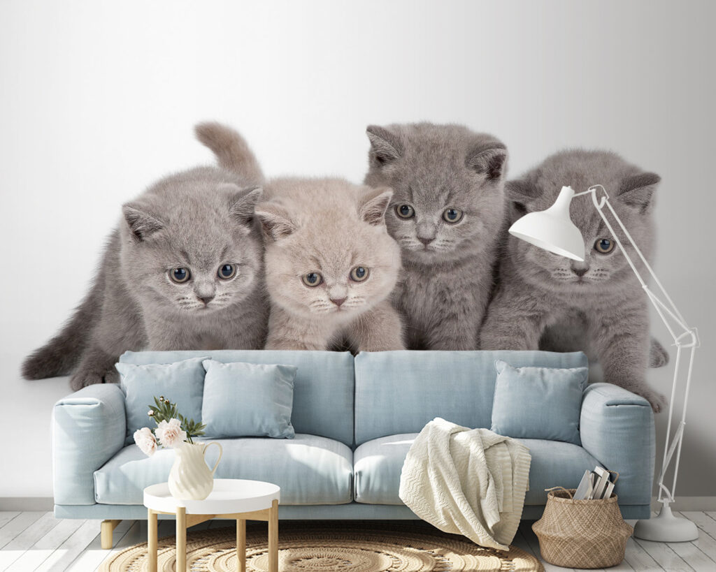 Quatre chatons curieux dans un intérieur