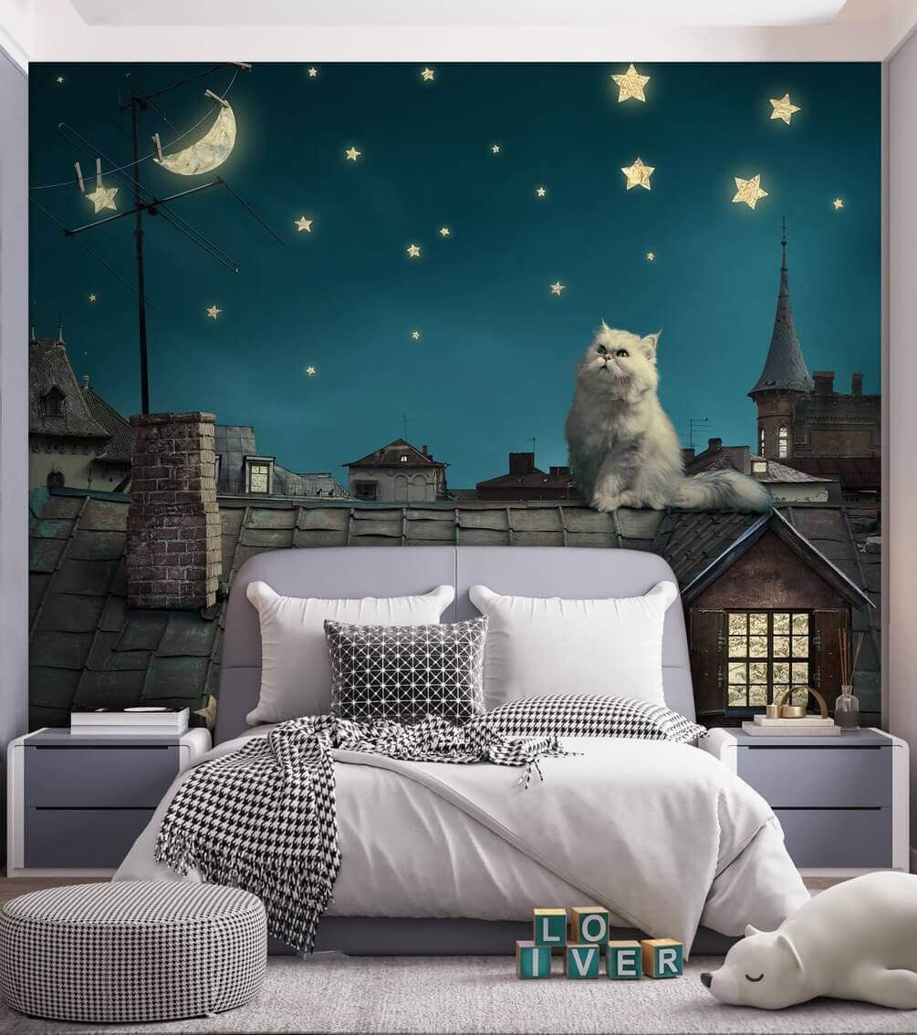 Chat sous les étoiles dans un intérieur