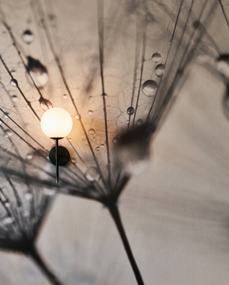 Rosée sur duvet léger — détail