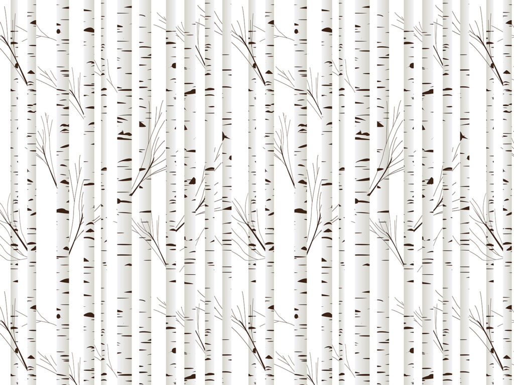 Troncs de bouleaux — motif complet