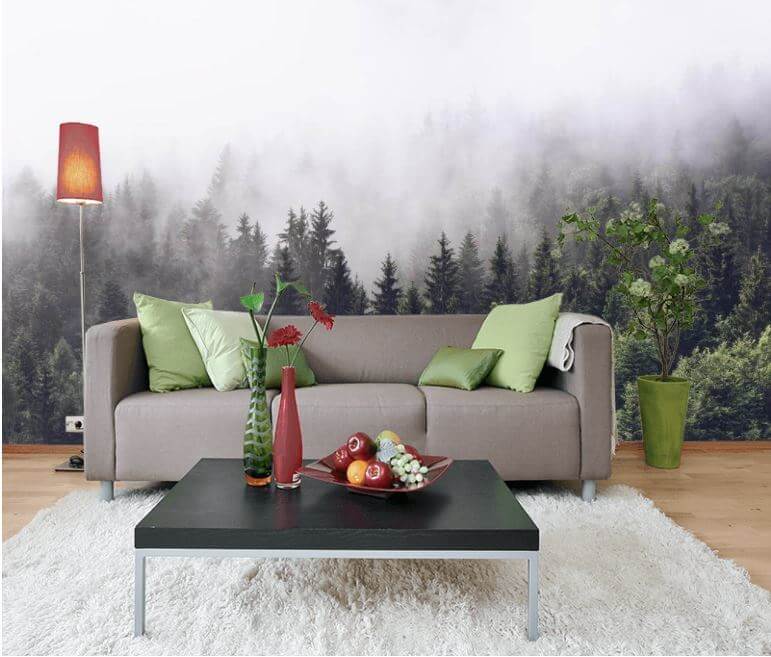 Brume au-dessus des bois dans un intérieur