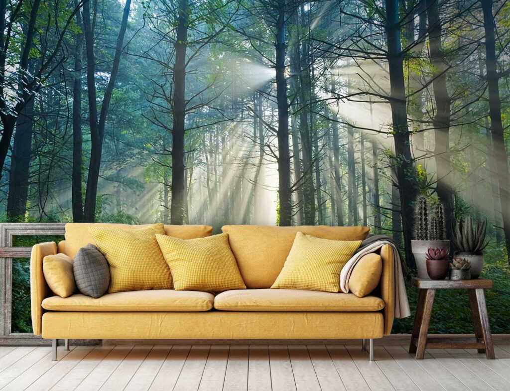 Soleil entre les arbres — intérieur 2