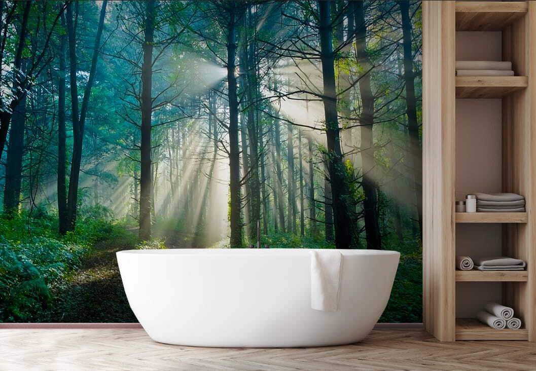 Soleil entre les arbres — intérieur 3