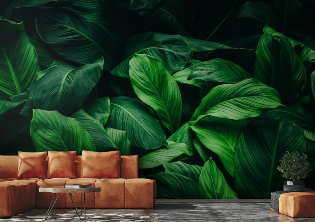 Feuillage dans l’ombre dans un intérieur