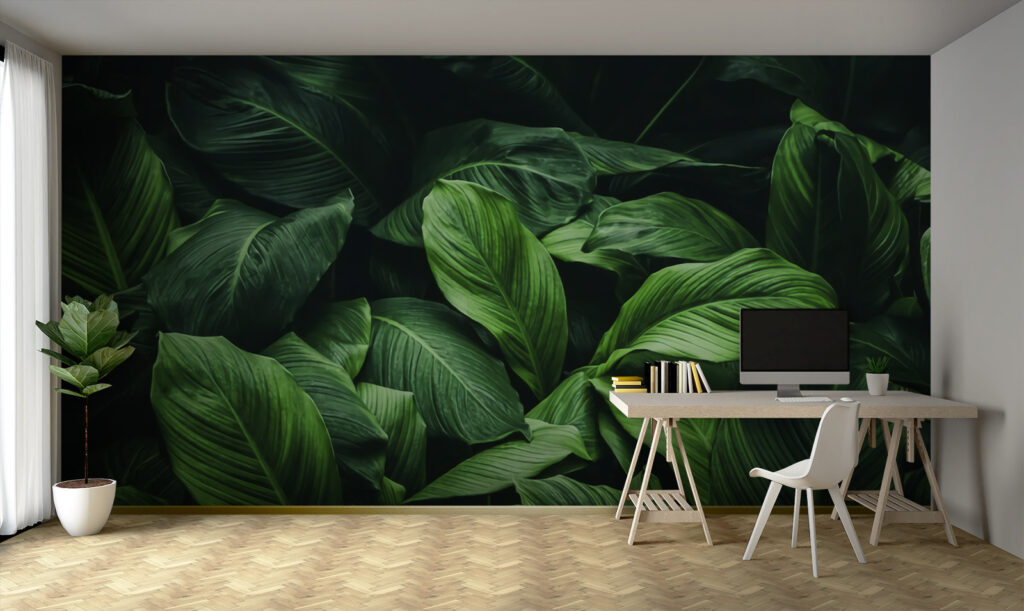 Feuillage dans l’ombre dans un intérieur