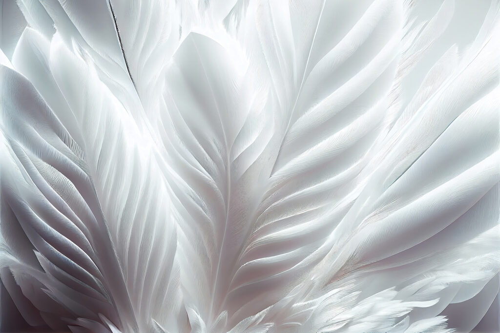 Plumes blanches entrelacées — motif complet
