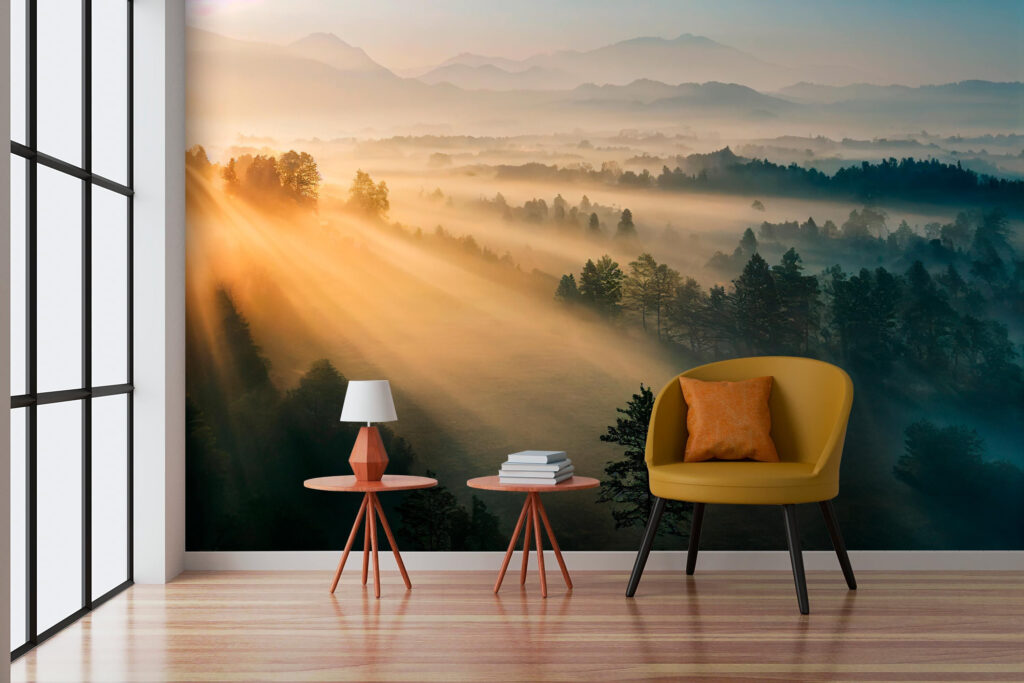 Forêt endormie au soleil dans un intérieur
