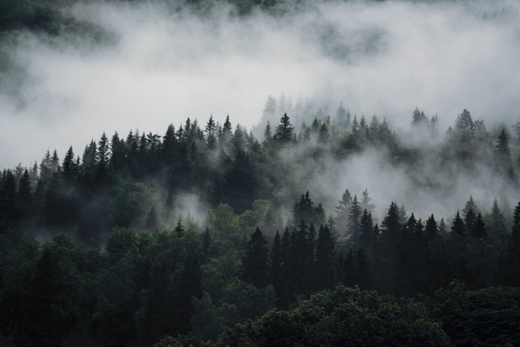 Brume sur les cimes — motif complet