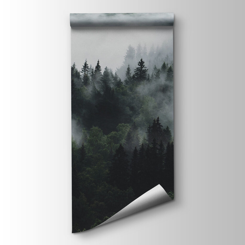 Brume sur les cimes — vue du produit