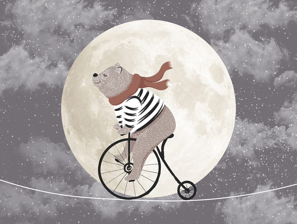 Ours à vélo — motif complet