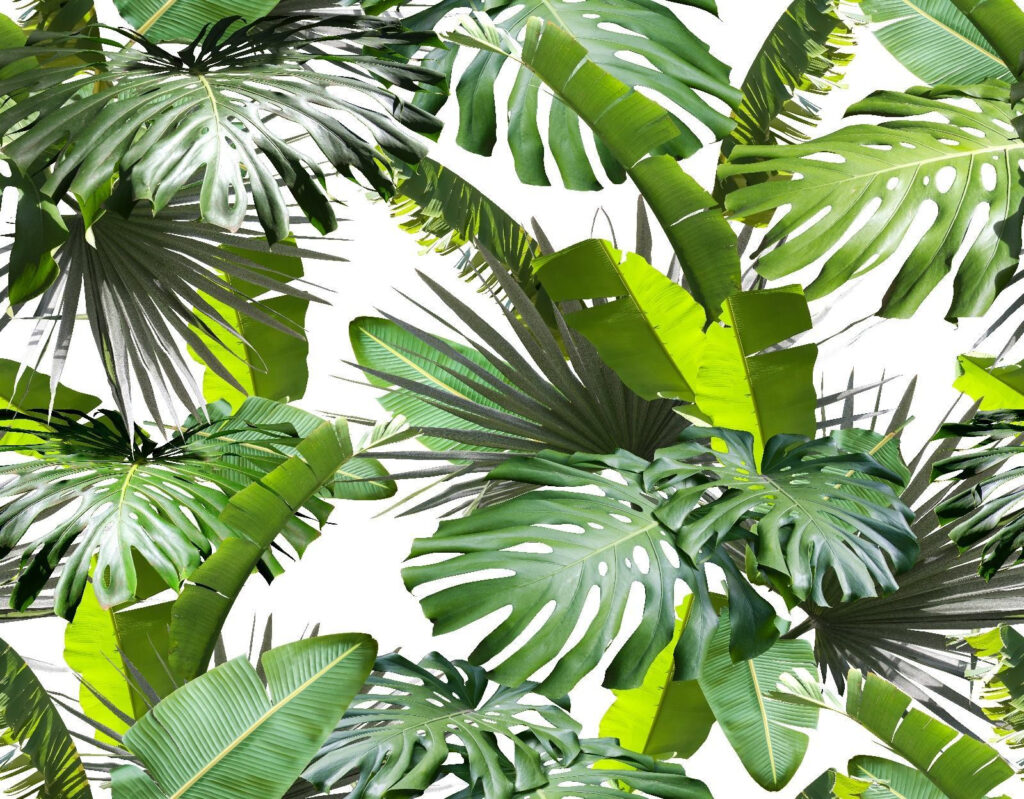 Feuilles tropicales vertes — motif complet