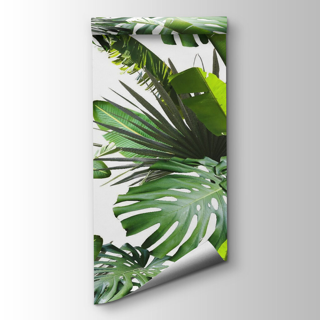 Feuilles tropicales vertes — vue du produit