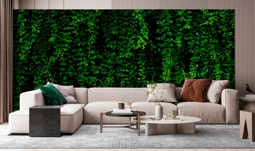 Mur de lierre dans un intérieur
