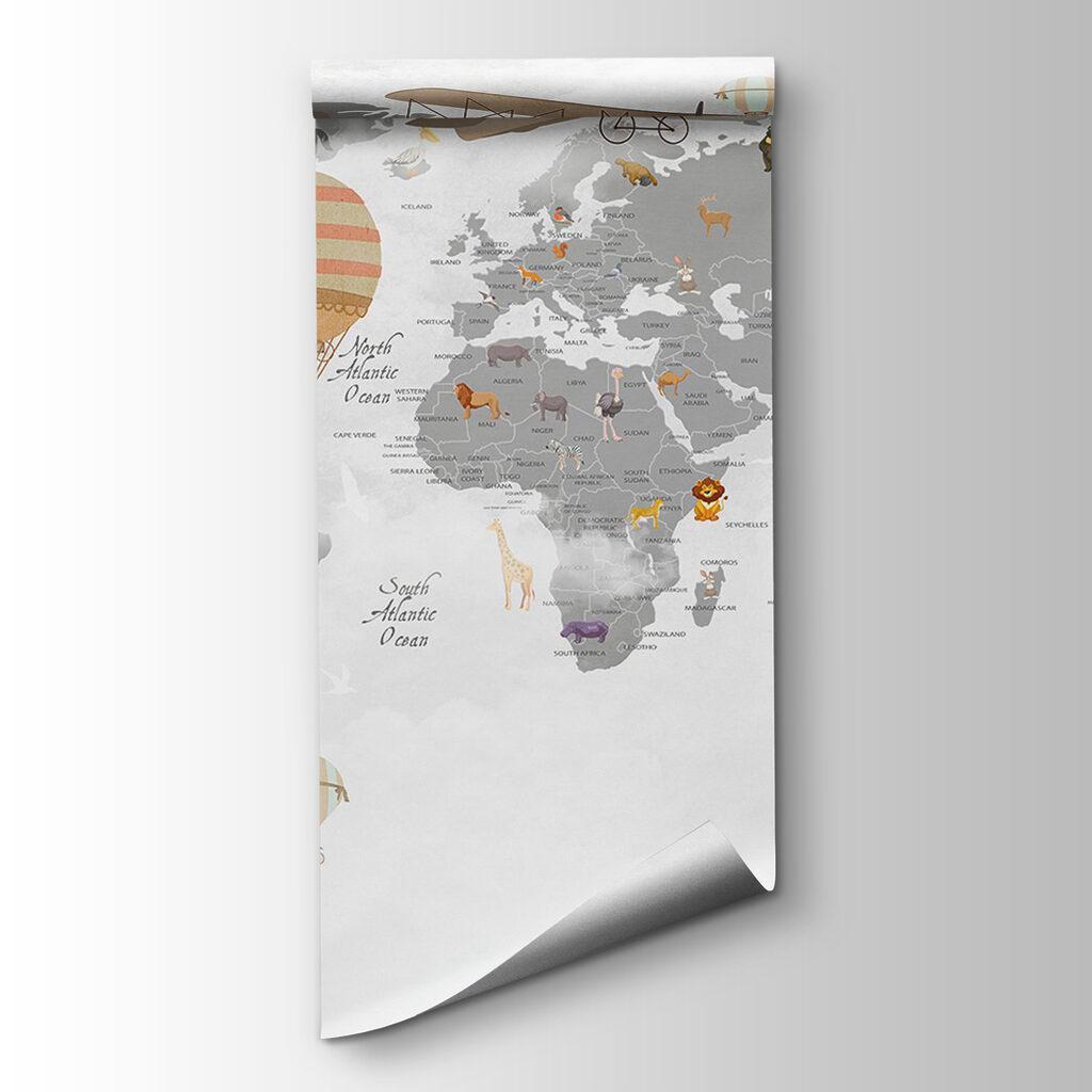 Carte des voyageurs — vue du produit