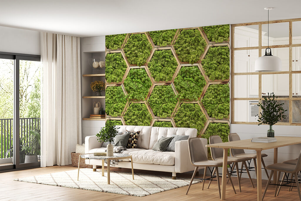 Hexagones de bois moussus — intérieur 4
