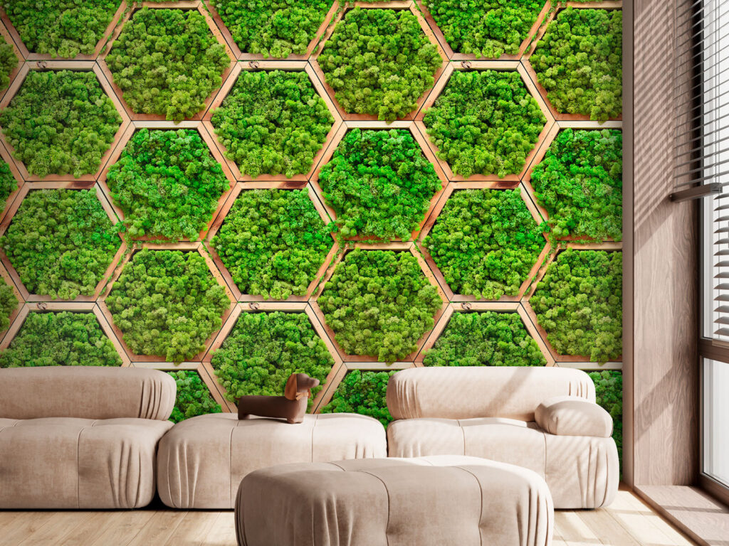 Hexagones de bois moussus dans un intérieur
